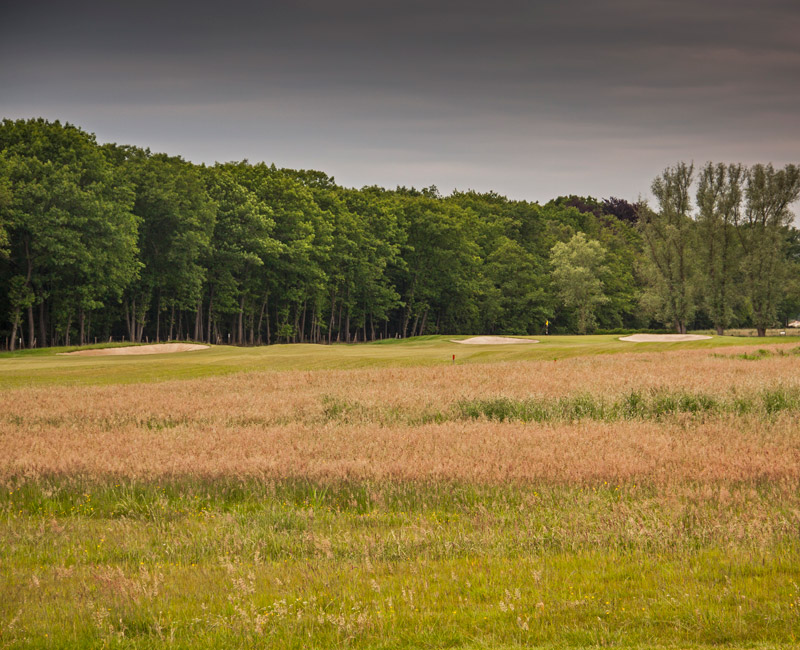 De Dommel