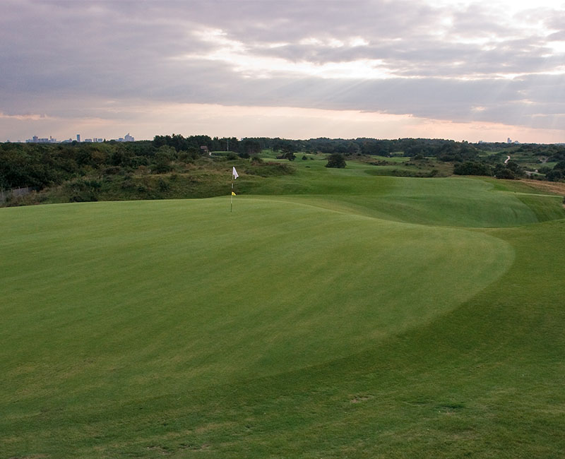 Royal Hague